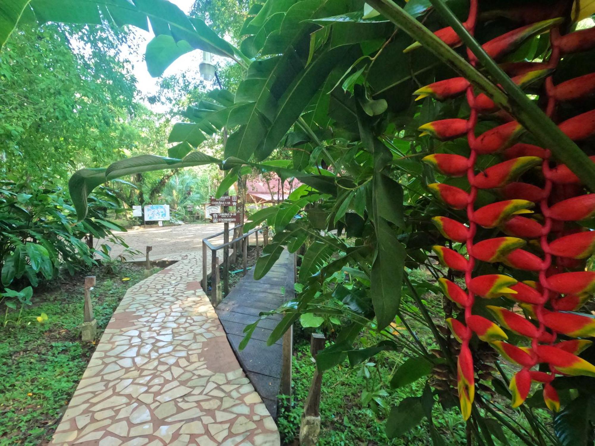 Cabanas Kin Balam Palenque Hotel Exterior photo